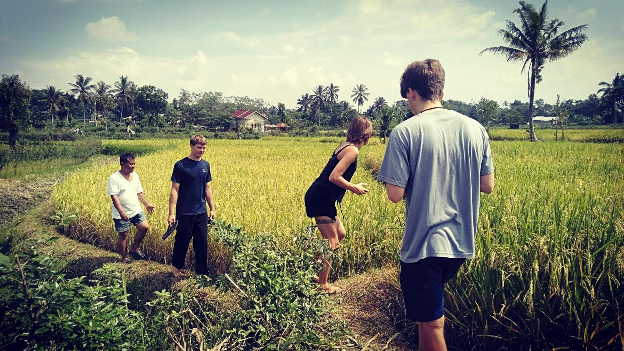 Bujak Permai Villa Matahari Lombok Ntb プラヤ エクステリア 写真