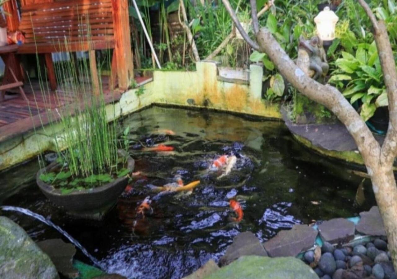 Bujak Permai Villa Matahari Lombok Ntb プラヤ エクステリア 写真