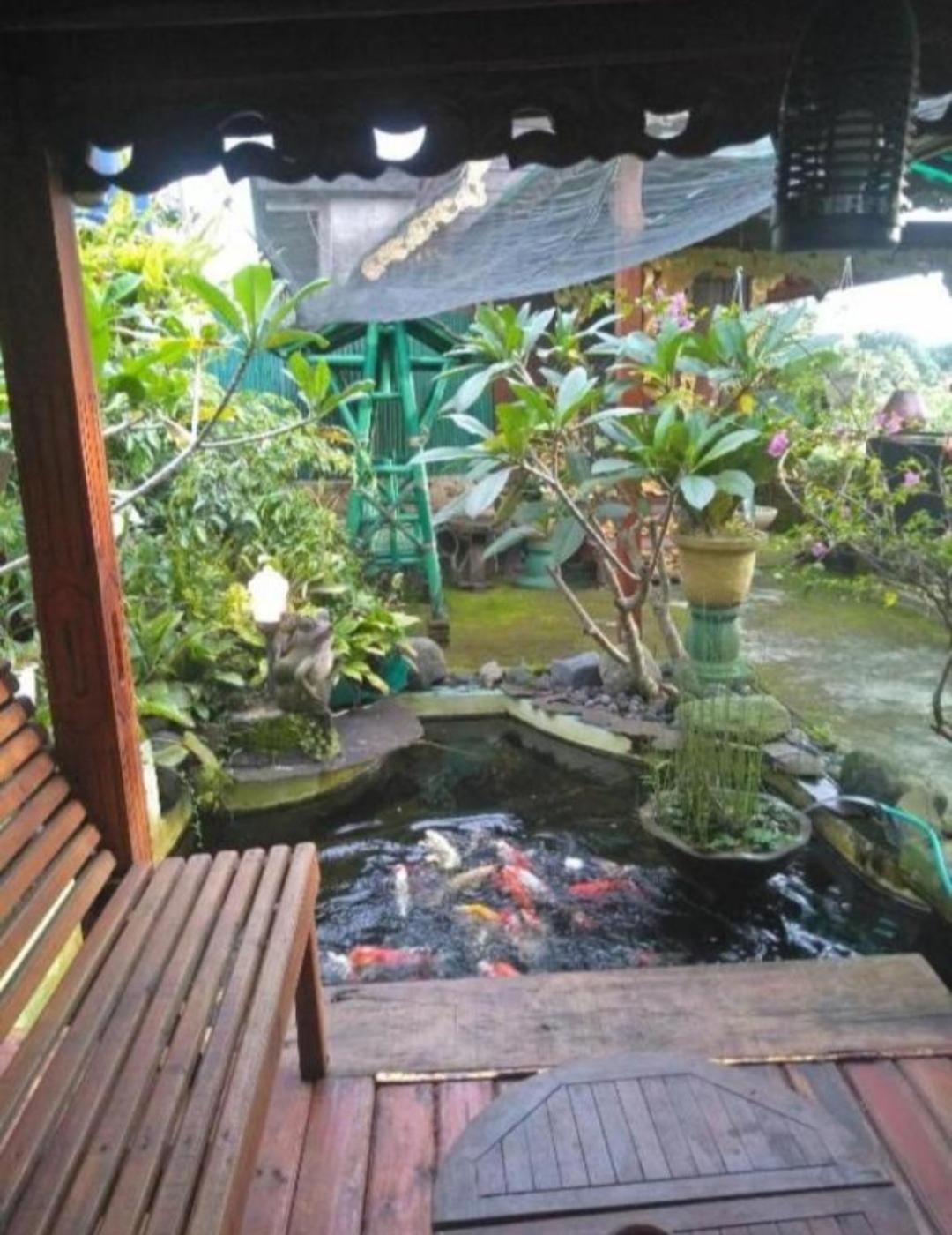 Bujak Permai Villa Matahari Lombok Ntb プラヤ エクステリア 写真