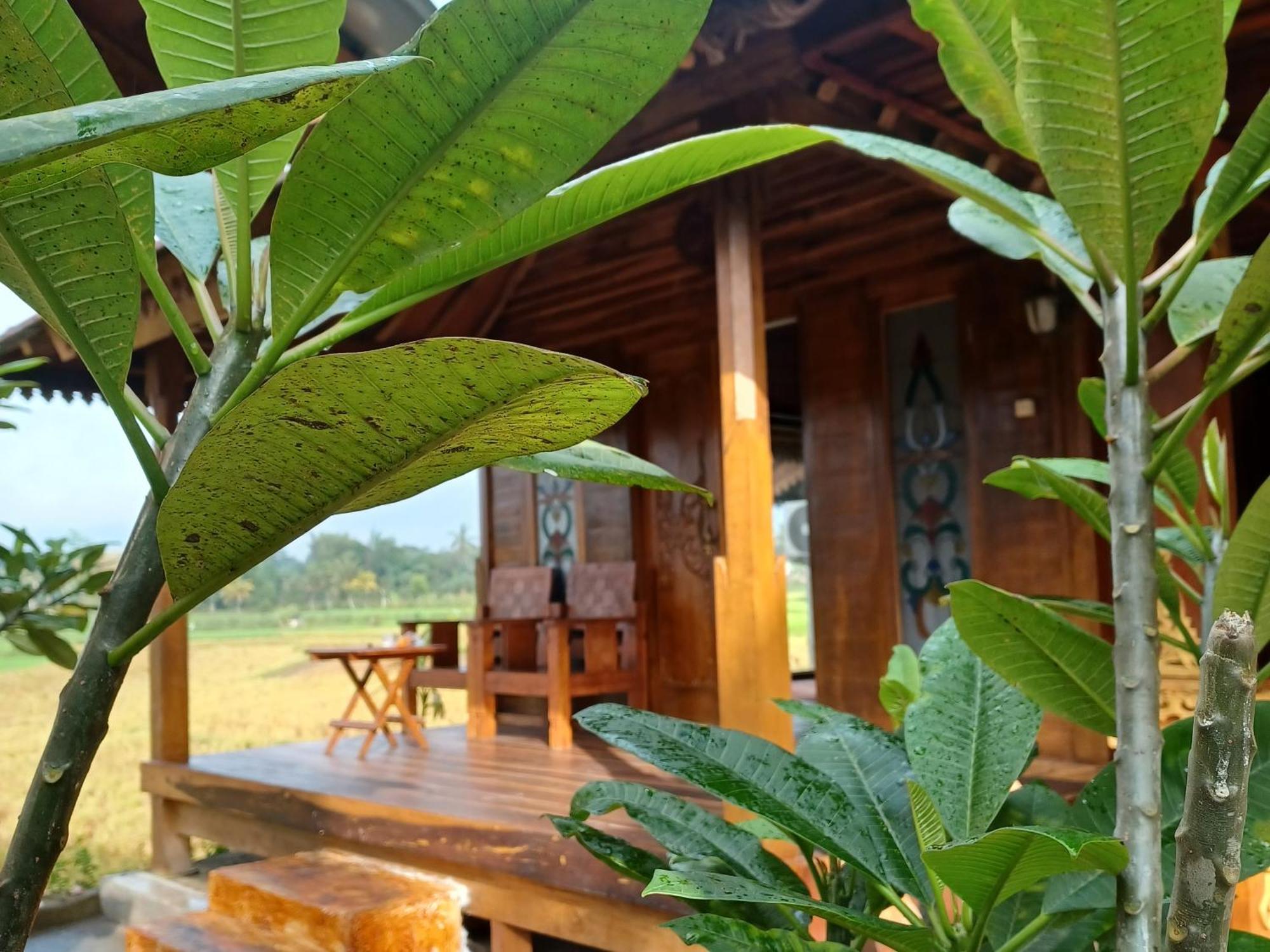 Bujak Permai Villa Matahari Lombok Ntb プラヤ エクステリア 写真